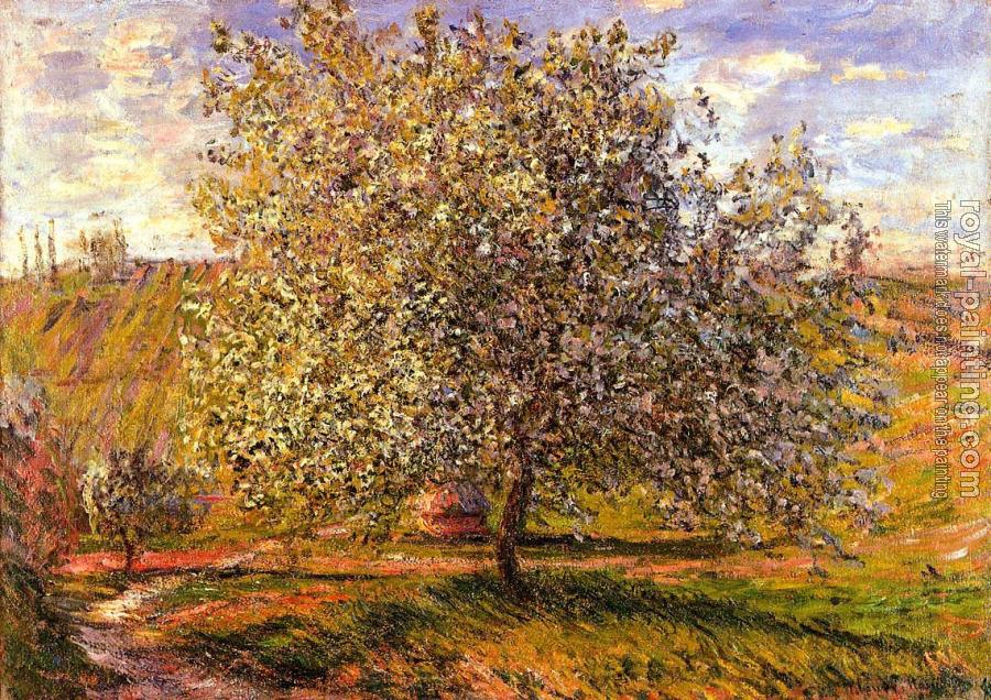 Claude Oscar Monet : Tree in Flower near Vetheuil